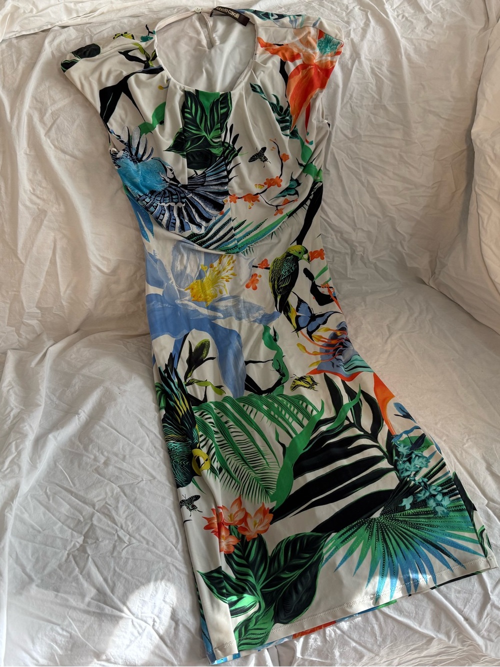 Roberto Cavalli Green & Blue dress